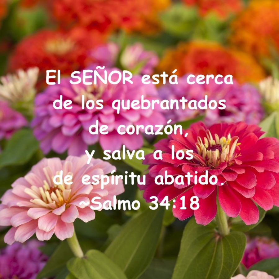 *Salmo 33:3a